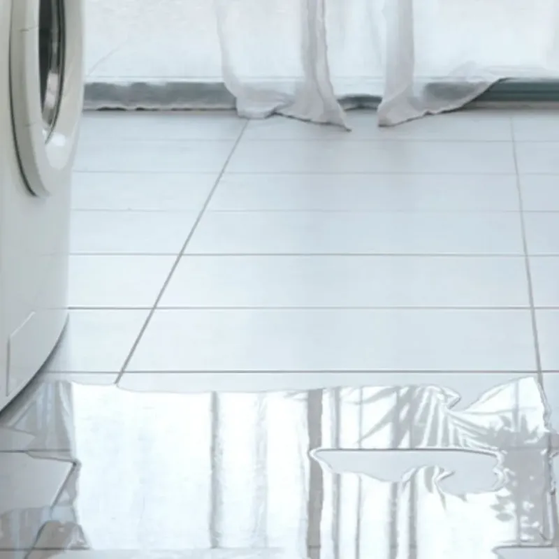 Appliance Leak Cleanup in Mount Carmel, IL