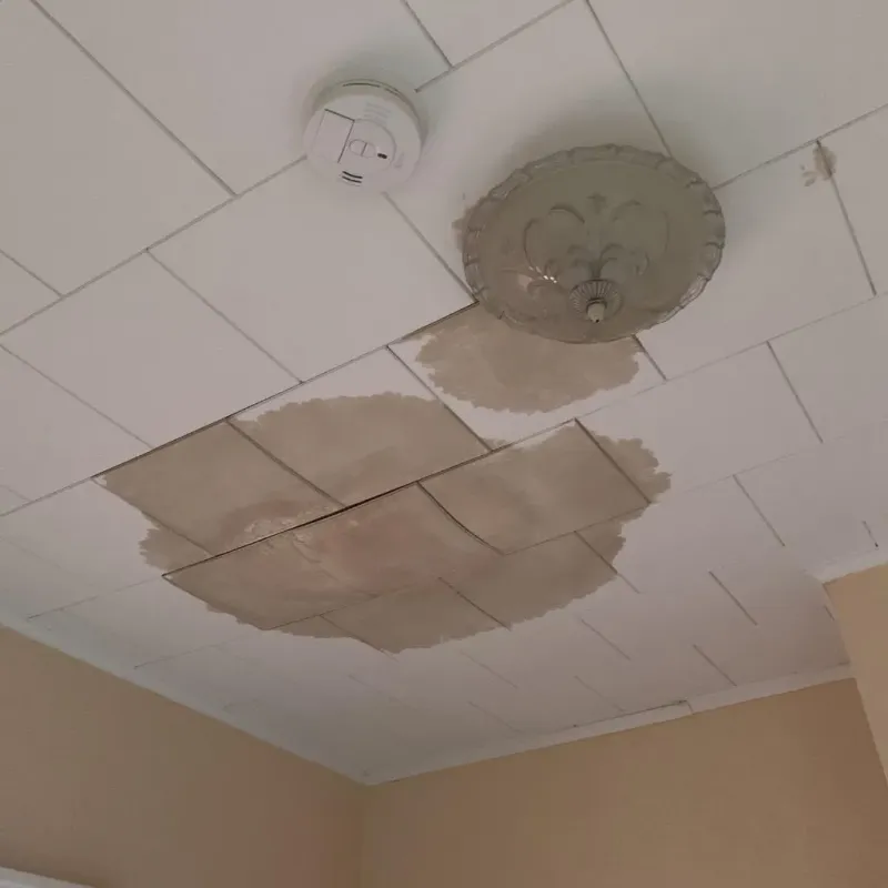 Ceiling Water Damage Repair in Mount Carmel, IL