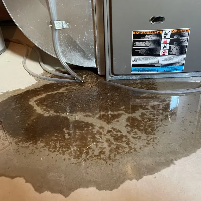 Pipe Burst and Leak Restoration in Mount Carmel, IL