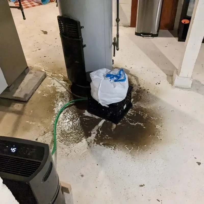 Sewage Backup Cleanup Service in Mount Carmel, IL